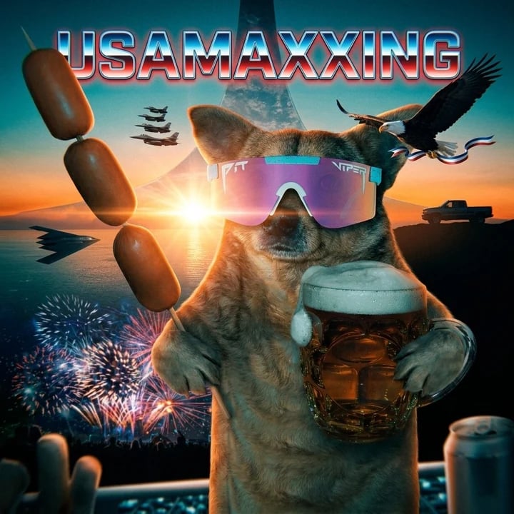 USAMaxxing